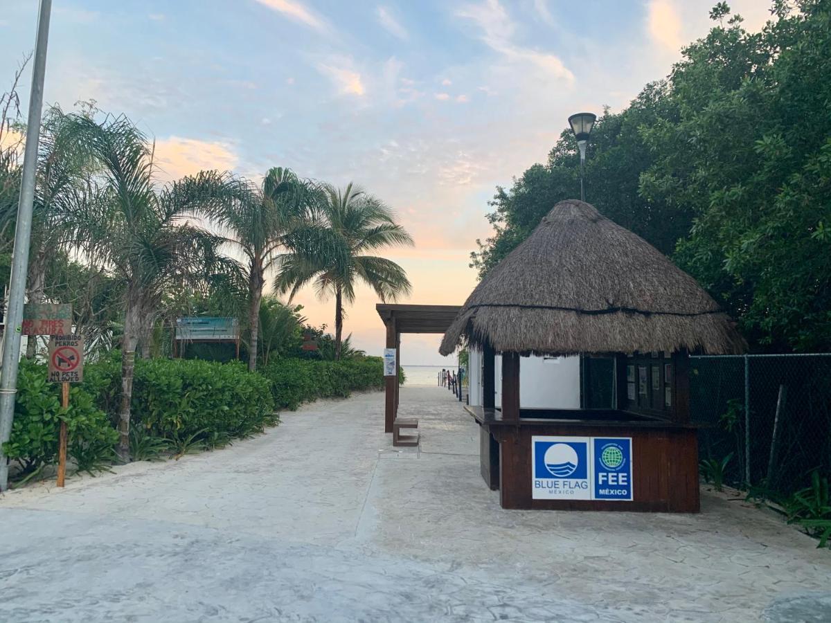 Polo 88 Hotel Apart Playa del Carmen Dış mekan fotoğraf